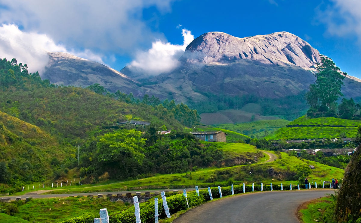 Munnar Tourism