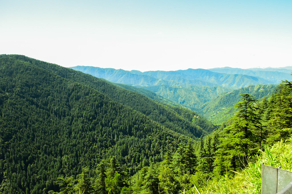 Top 10 Tourist Attractions in Shimla Gren Valley