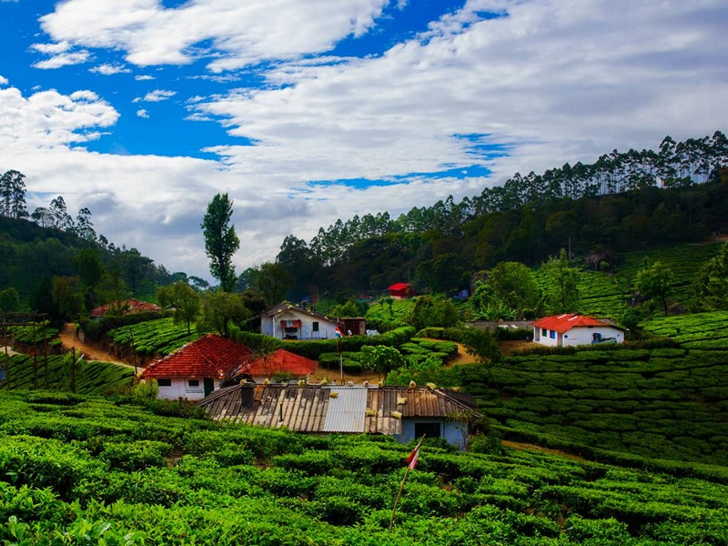 Top 10 Tourist Places in Munnar Tourism